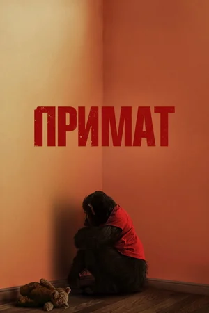 Примат